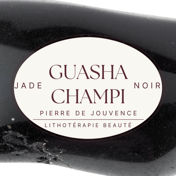 CHAMPIN-grossiste-masseur-guasha-jade-noir-naturel-champignon_z2.jpg